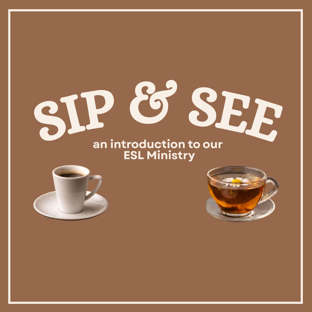 HomePage-Widget-Sip-And-See